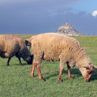 Нормандия :: skijumper Иванов