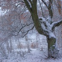 *** :: Сергей Григорьев