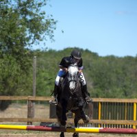 Над барьером... :: Александр Гриднев Над барьером... :: Александр Гриднев