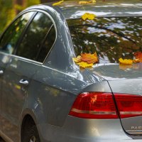 Прощай, осень! :: Светлана Тихонина Прощай, осень! :: Светлана Тихонина