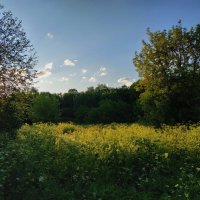 Ну и что - плохо было? :: Андрей Лукьянов Ну и что - плохо было? :: Андрей Лукьянов