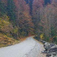 Абхазия :: Tata Wolf Абхазия :: Tata Wolf