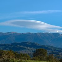 **** :: Viktor Makarov **** :: Viktor Makarov