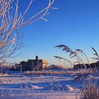 Январь,,.Мороз минус 40! :: Владимир 