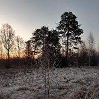 В ноябре рассветы дня :: Галина Минчук В ноябре рассветы дня :: Галина Минчук