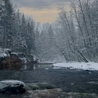 Сибирская тайга :: Aleksey Afonin Сибирская тайга :: Aleksey Afonin