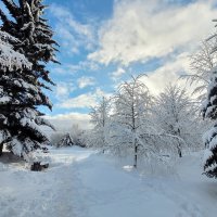 Ноябрьским днем :: Галина Нестратова Ноябрьским днем :: Галина Нестратова