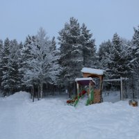 Прогулки по зимнему лесу :: Ольга Прогулки по зимнему лесу :: Ольга