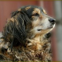 Задумался ... :: Валентина Надсон Задумался ... :: Валентина Надсон