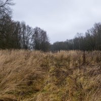 ___ :: Yuriy V ___ :: Yuriy V