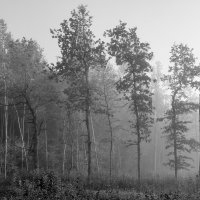 Проходя мимо ... :: Genych Bartkus