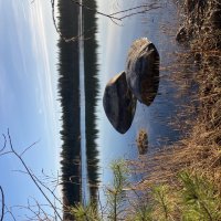 У воды :: Ольга Савельева У воды :: Ольга Савельева