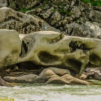 РАБОТА ВОДЫ :: HART BAD