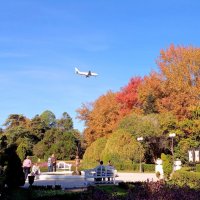 Адлер. Дендропарк "Южные культуры" :: Нина Бутко Адлер. Дендропарк "Южные культуры" :: Нина Бутко