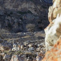 Село Верхняя Балкария. Камни помнят всё... :: Александр Николаев