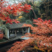 Парк "Источник Хупао," или "Источник тигра" :: Дмитрий