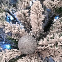 Серебряный шар :: Hope 