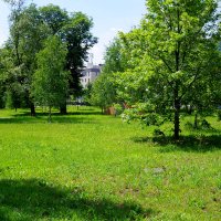 Люблинский парк :: Игорь Белоногов Люблинский парк :: Игорь Белоногов