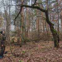 *** :: Денис Бочкарёв *** :: Денис Бочкарёв