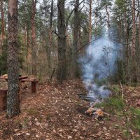 Костёр :: Денис Бочкарёв Костёр :: Денис Бочкарёв