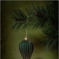 *** :: Oleg Rastorguev