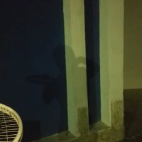 114 (200) :: CLOSE WAYS ALL