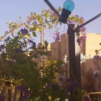 114 (203) :: CLOSE WAYS ALL