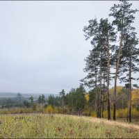 Осень :: **** vedin Осень :: **** vedin