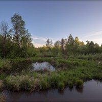 Вечер :: **** vedin