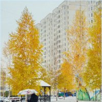 Предзимье. :: Василий Палий