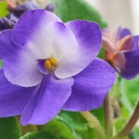 ,,, :: Сергей Тимоновский