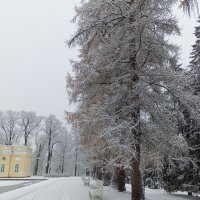 Осень :: Сапсан 