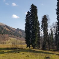 Абхазия :: Tata Wolf