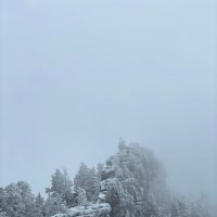 Снежная пелена. :: Георгиевич Снежная пелена. :: Георгиевич