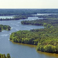 Гнезненский озерный край. Лихень Старый :: Светлана Ищенко