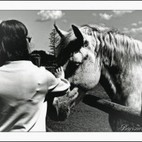 Верный :: Denis Lipatov Верный :: Denis Lipatov