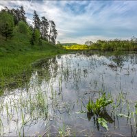 Утро :: **** vedin