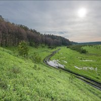 Проселок :: **** vedin Проселок :: **** vedin