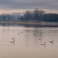 Городское водохранилище :: Игорь Сикорский