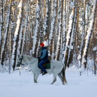 Прогулка в парке :: Галина Нестратова Прогулка в парке :: Галина Нестратова