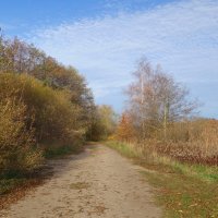 Осенний пейзаж :: Рита Симонова Осенний пейзаж :: Рита Симонова