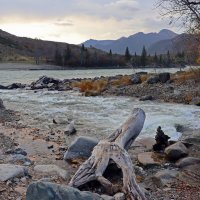 Слияние Катуни и Ильгумень :: елена беликова Слияние Катуни и Ильгумень :: елена беликова
