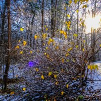 Первый снег в Москве :: Георгий А