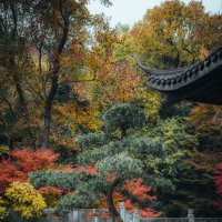 Осень в парке :: Дмитрий Осень в парке :: Дмитрий