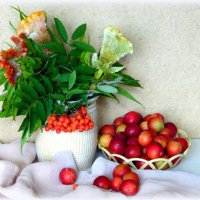 Щедрый август. :: nadyasilyuk Вознюк