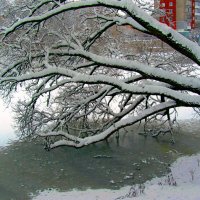 Над проталиной :: Сергей Карачин