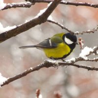 ... :: Юрий Куликов ... :: Юрий Куликов