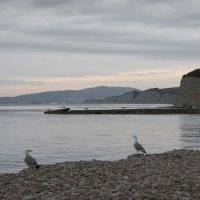 Тихий вечер на побережье :: Владимир Носов Тихий вечер на побережье :: Владимир Носов