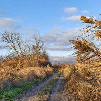 Осенне-весенний пейзаж :: Валерий Ткаченко