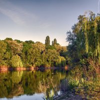 ******** :: Андроник Александр ******** :: Андроник Александр